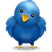 Follow Us On Twitter